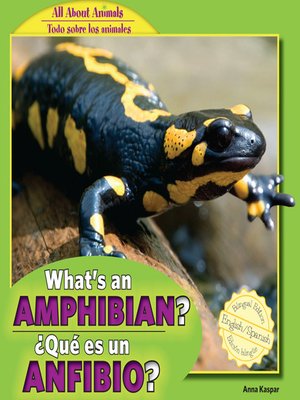 cover image of What's an Amphibian? / ¿Qué es un anfibio?
